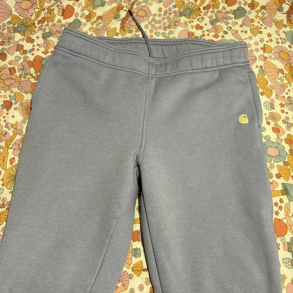 Carhartt sweats